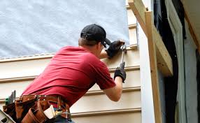 Best Insulated Siding Installation  in Forest City, IA